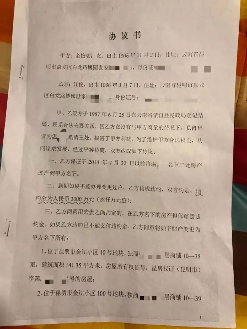 私家侦探设备-出轨财产分配协议样本怎么写？